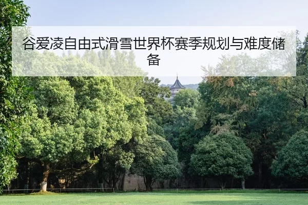 谷爱凌自由式滑雪世界杯赛季规划与难度储备