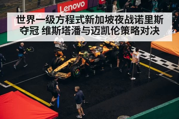 F1 pit stop strategy