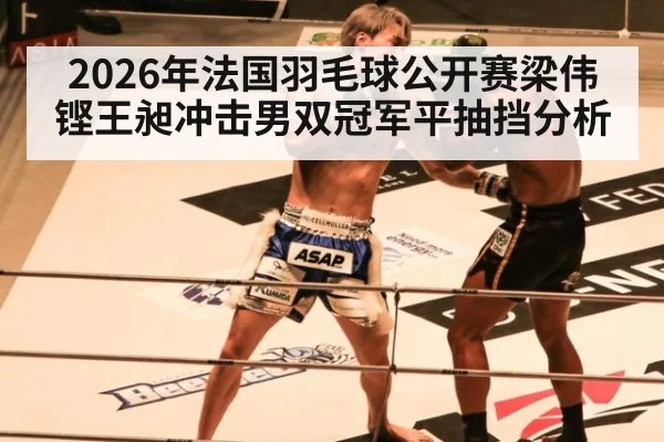 2026年法国羽毛球公开赛梁伟铿王昶冲击男双冠军平抽挡分析